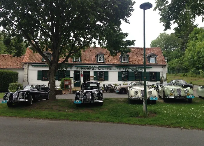 Du Gros Tilleul Hotel 3*