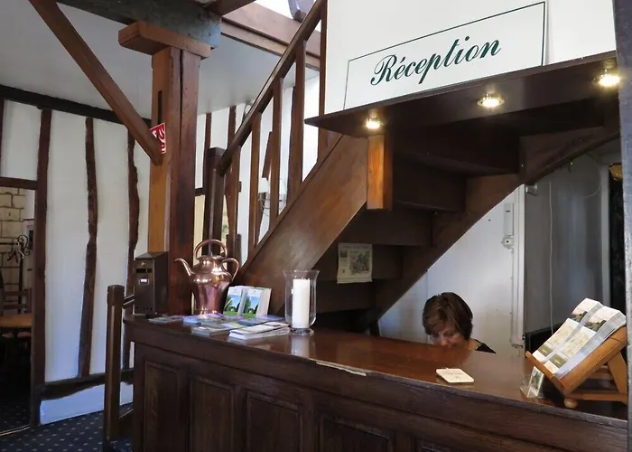 Hotel Du Gros Tilleul 3*