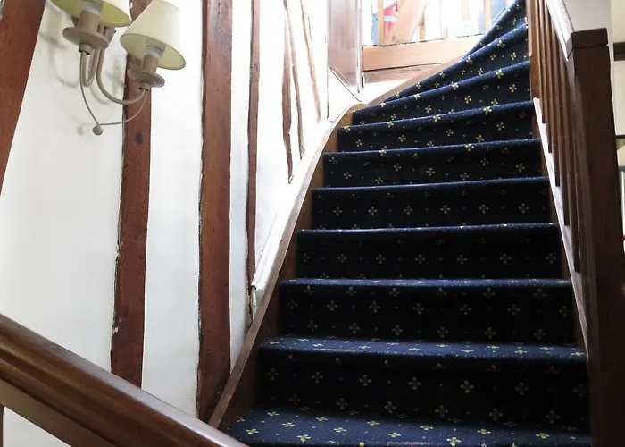 Du Gros Tilleul Hotel 3*